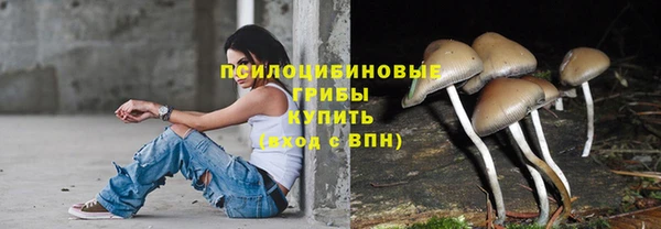 ALPHA PVP Алзамай
